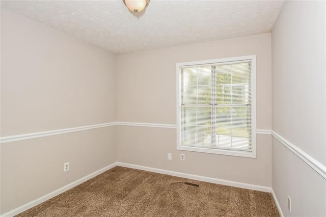 unfurnished room featuring a textured ceiling, a healthy amount of sunlight, and carpet