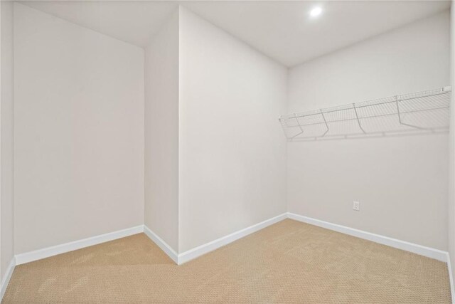 walk in closet featuring light colored carpet