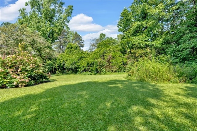 19 Quail Hollow Ct, Dallas, GA 30157 - view of green lawn