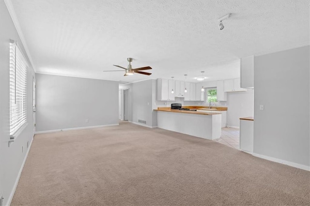 19 Quail Hollow Ct, Dallas, GA 30157 - unfurnished living room with light carpet, a textured ceiling, ceiling fan, baseboards, and a sink