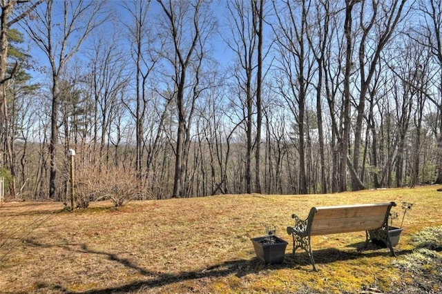 view of yard featuring a wooded view