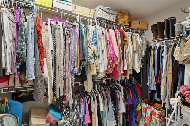 view of spacious closet