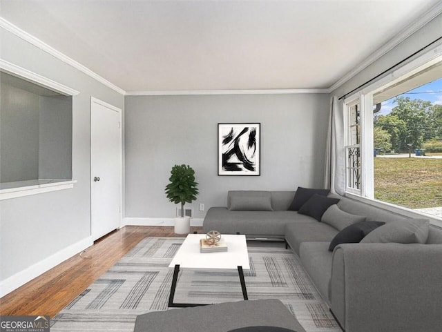 living room with hardwood / wood-style floors and crown molding