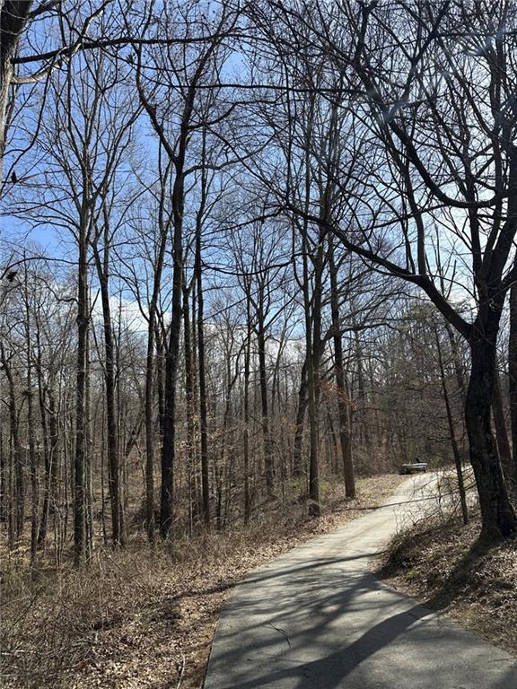 view of road featuring a view of trees