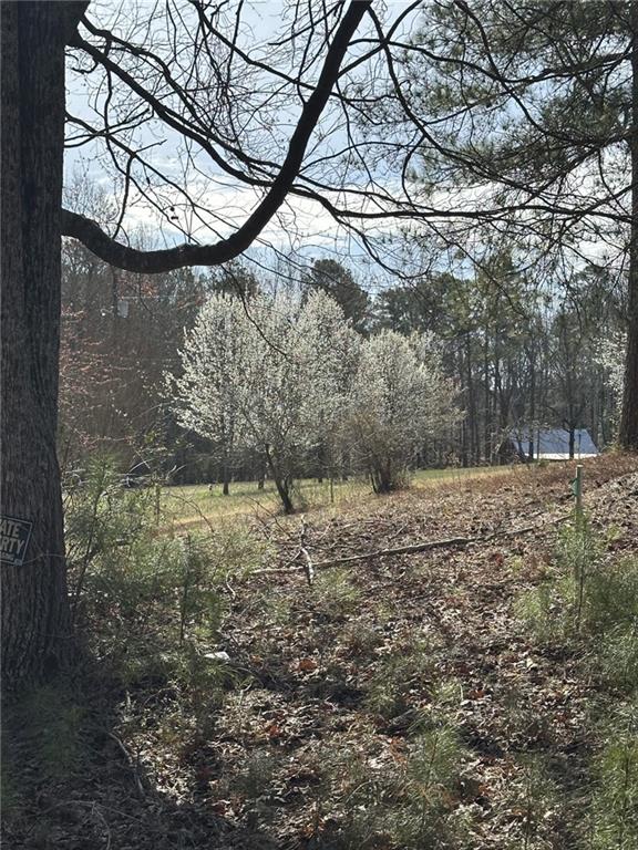 view of landscape featuring a view of trees