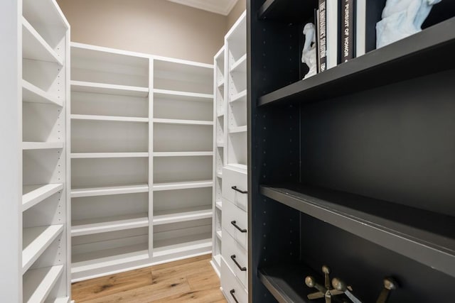 spacious closet with light wood-type flooring