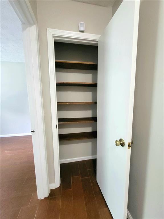 2913 Jordan Forest Trl, Lawrenceville, GA 30044 - view of closet