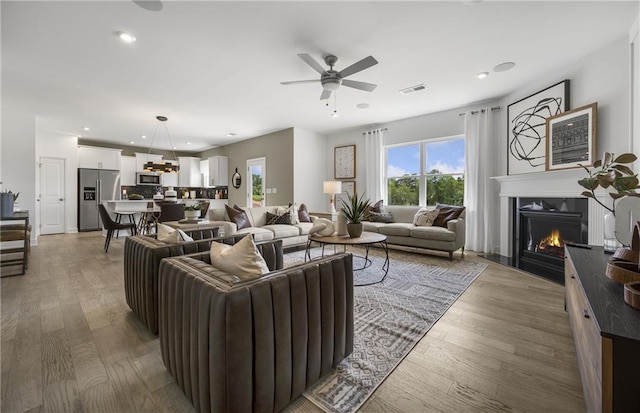 317 Foxglove Way, Mcdonough, GA 30253 - living room with a warm lit fireplace, healthy amount of natural light, ceiling fan, wood finished floors, and recessed lighting