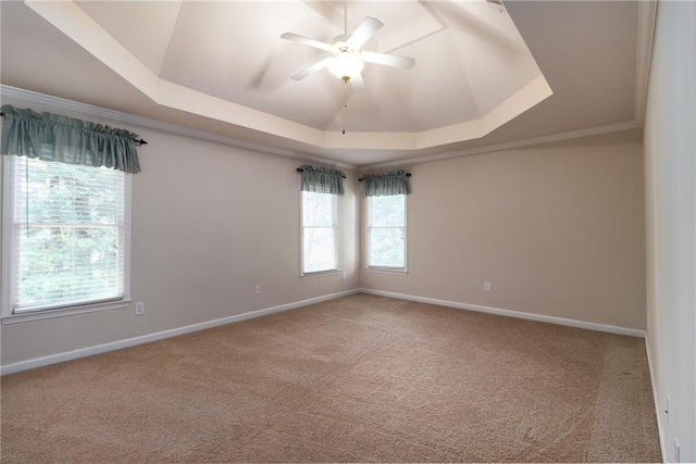 5287 Wild Indigo Way, Acworth, GA 30102 - spare room with a raised ceiling, healthy amount of natural light, carpet floors, and a ceiling fan