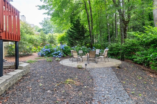 5287 Wild Indigo Way, Acworth, GA 30102 - view of yard featuring a patio