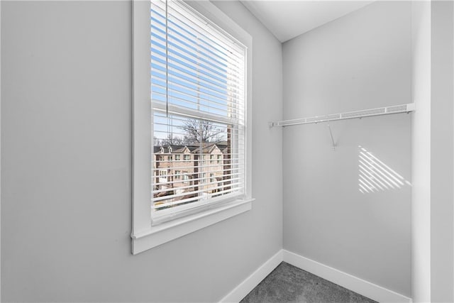 walk in closet with carpet