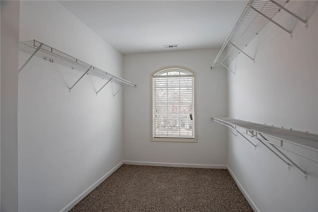 spacious closet featuring carpet and visible vents