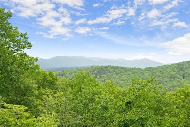 view of mountain feature featuring a wooded view
