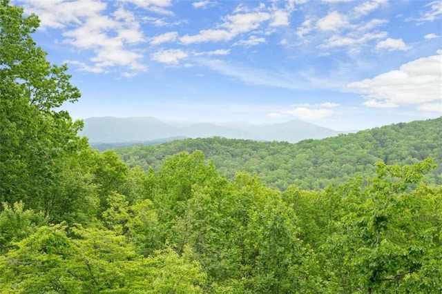 property view of mountains with a wooded view