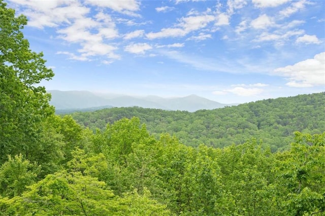 mountain view featuring a view of trees