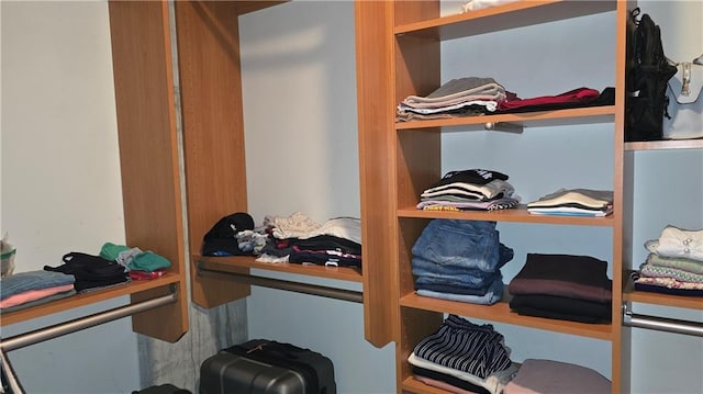 view of walk in closet