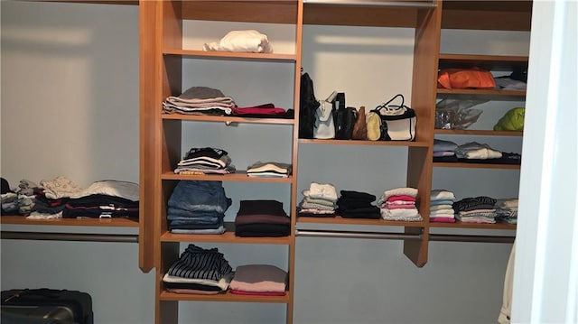 view of closet