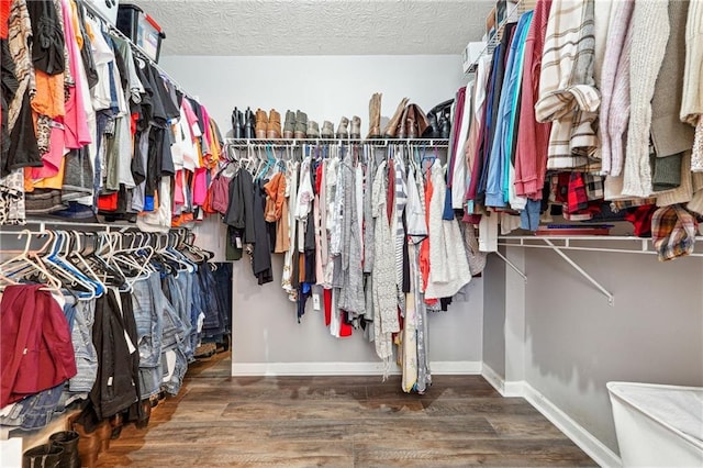 walk in closet featuring wood finished floors