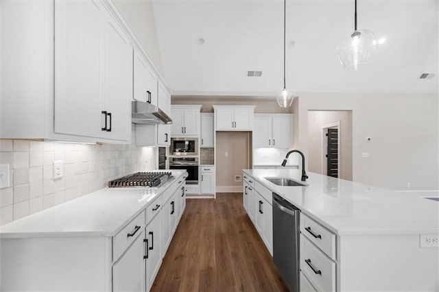 473 Nugget Rd, Carrollton, GA 30117 - kitchen featuring stainless steel appliances, decorative light fixtures, under cabinet range hood, and white cabinetry