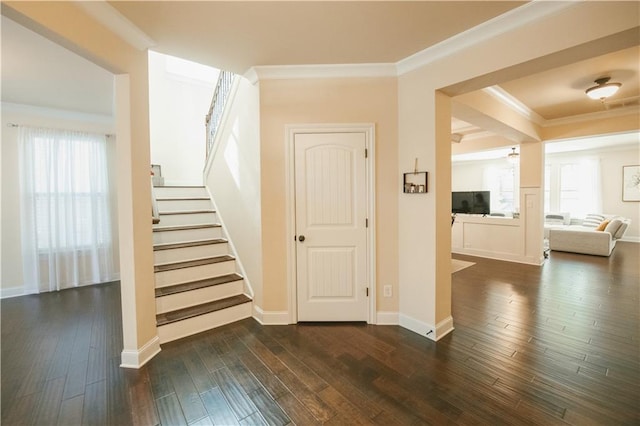 staircase featuring a wealth of natural light, baseboards, wood finished floors, and ornamental molding