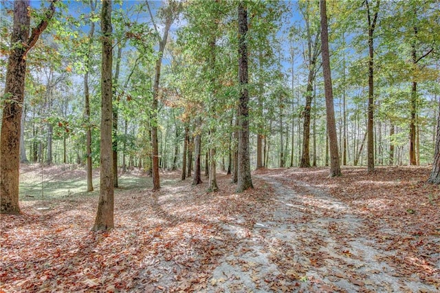 view of local wilderness with a forest view