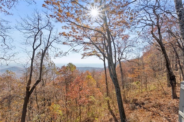 view of landscape