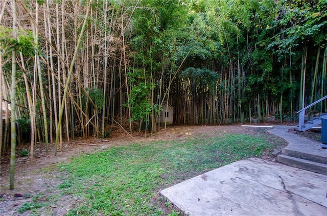 view of yard featuring a patio area