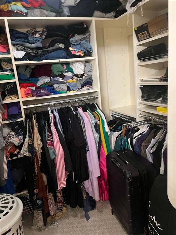 walk in closet featuring carpet flooring