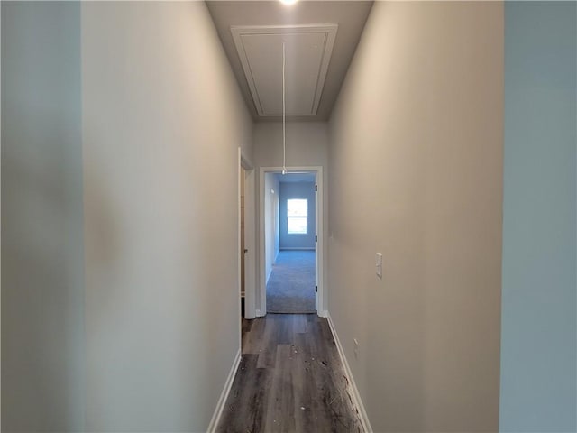 hallway featuring attic access, baseboards, and dark wood-type flooring