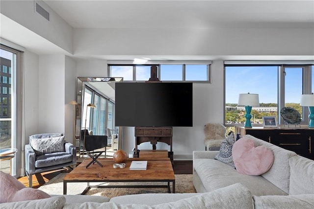 living room with hardwood / wood-style floors and a wealth of natural light