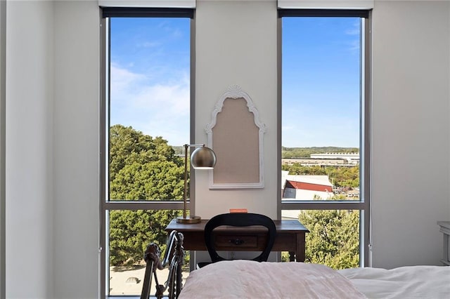 bedroom featuring multiple windows