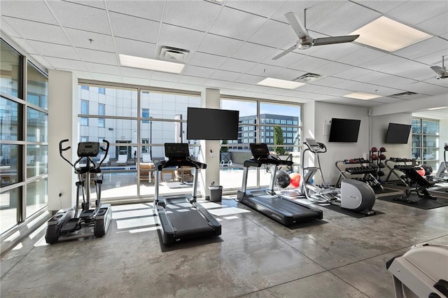 gym with floor to ceiling windows, a paneled ceiling, and ceiling fan