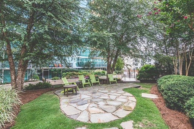 view of yard with a patio area