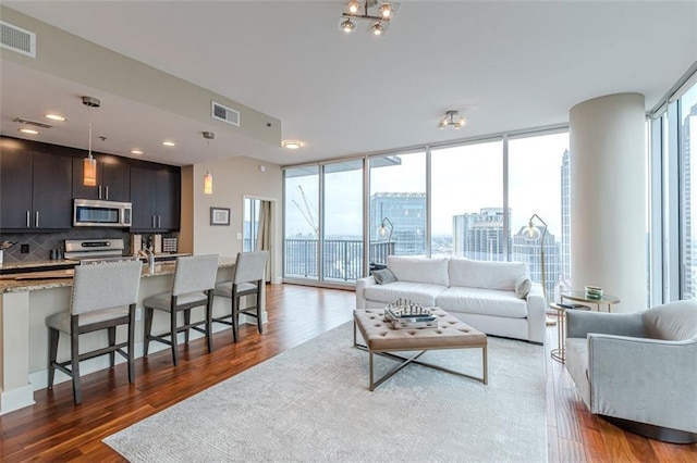 living room featuring floor to ceiling windows, a wealth of natural light, and dark wood-type flooring