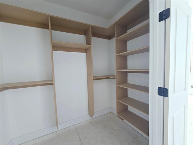 view of spacious closet