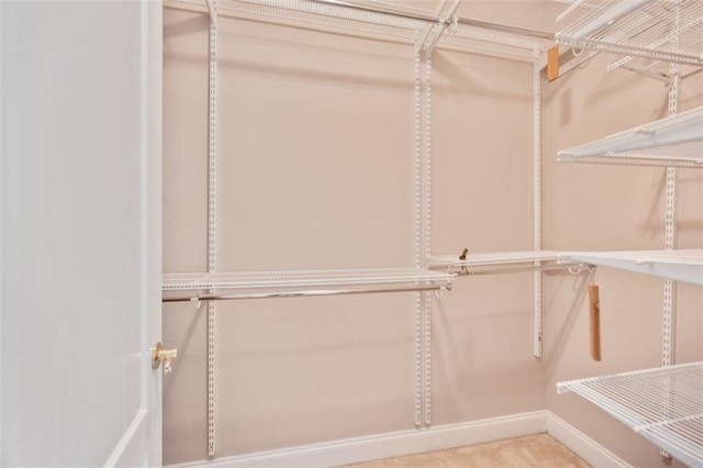 1979 Spivey Village Dr, Jonesboro, GA 30236 - view of spacious closet