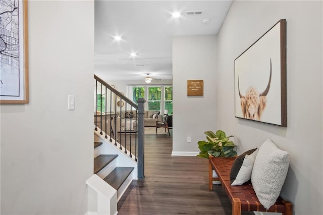 hallway with dark hardwood / wood-style floors