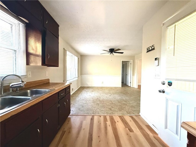 kitchen with ceiling fan, sink, light hardwood / wood-style floors, and plenty of natural light