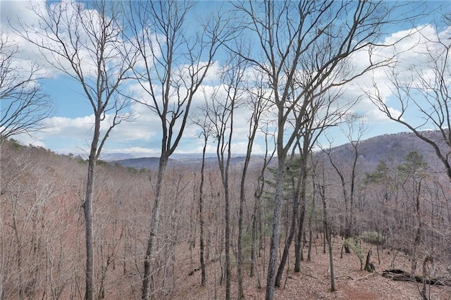 view of mountain feature featuring a forest view