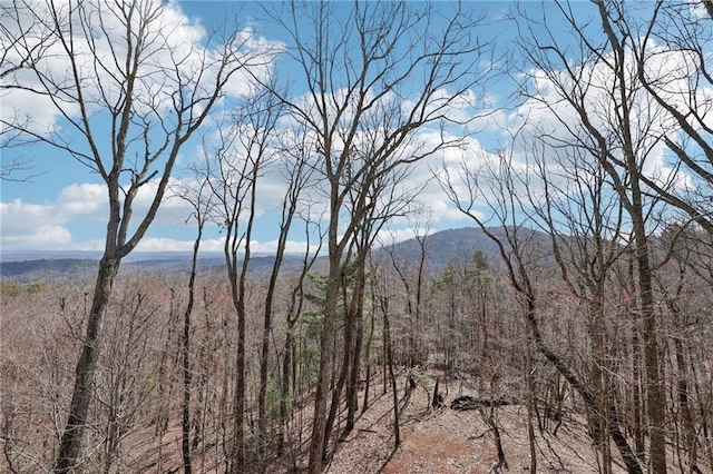 mountain view with a view of trees