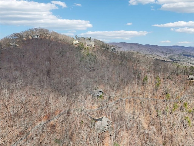 mountain view featuring a forest view