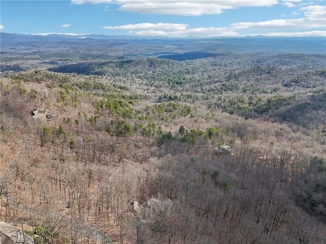 birds eye view of property with a wooded view and a mountain view