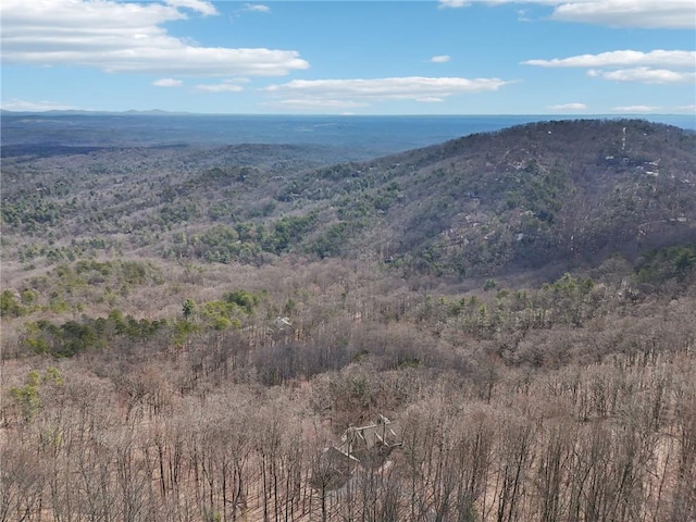 view of mountain feature