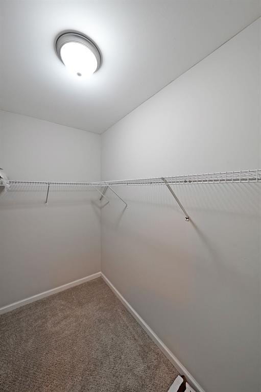 walk in closet featuring carpet floors