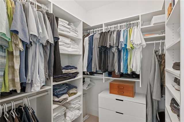 view of spacious closet