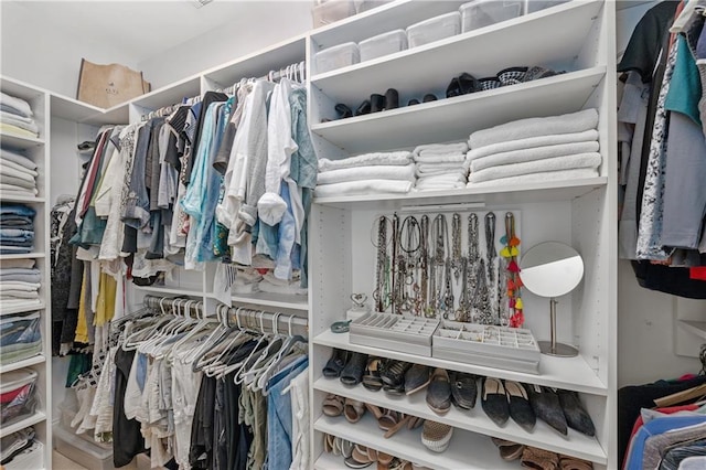 view of walk in closet