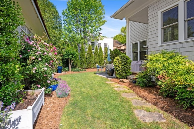 view of yard with a vegetable garden