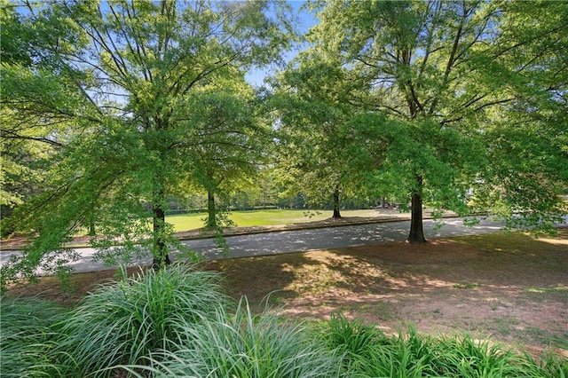 view of property's community