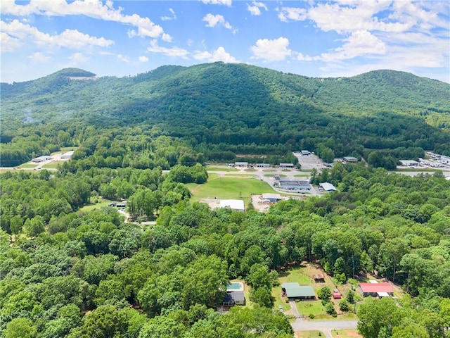 153 Garrison Dr, Cleveland, GA 30528 - aerial view of a heavily wooded area and a mountainous background