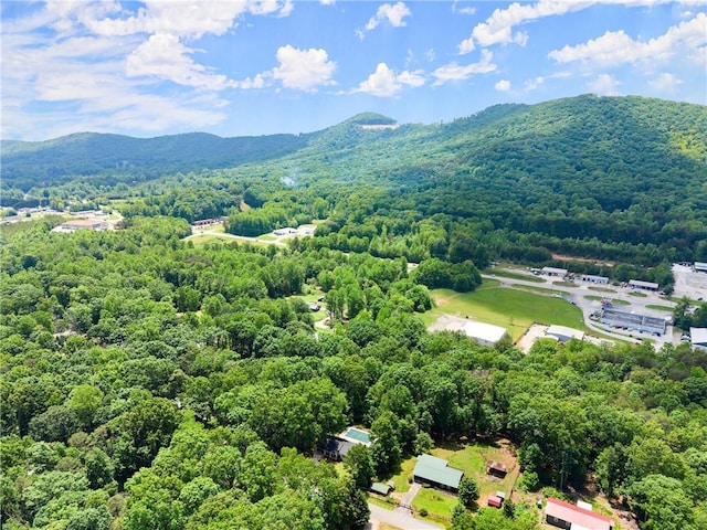 153 Garrison Dr, Cleveland, GA 30528 - drone / aerial view of a heavily wooded area and a mountain backdrop